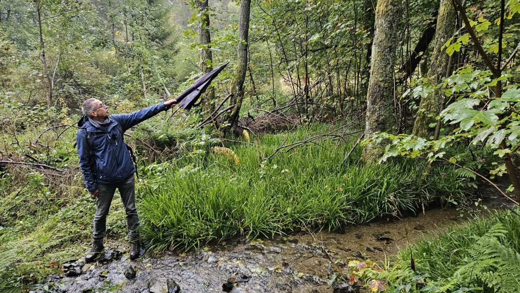 Naturschützer Dr. Axel Schulte beim Waldspaziergang im Sauerland
